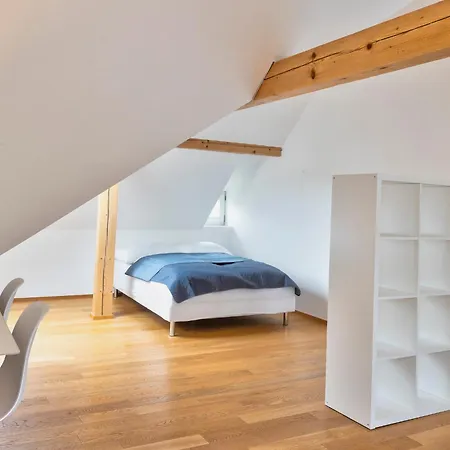 Luxury&spacious 140m2 Two Floor Rooftop דירה פראג