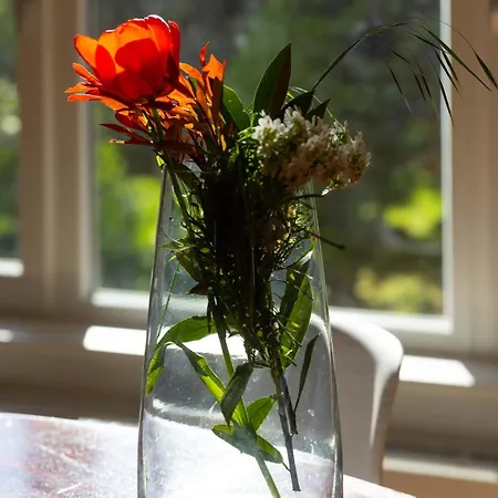 Family Friendly Spacious Two Floor Appartement Praag