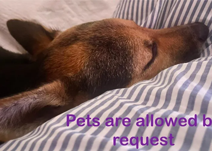 Family Friendly Spacious Two Floor Appartement *